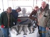 (04/03/2015) - Nice Striped Bass